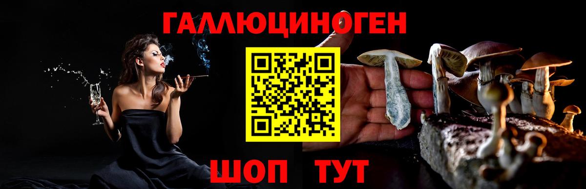 Галлюциногенные грибы мухоморы Знаменск